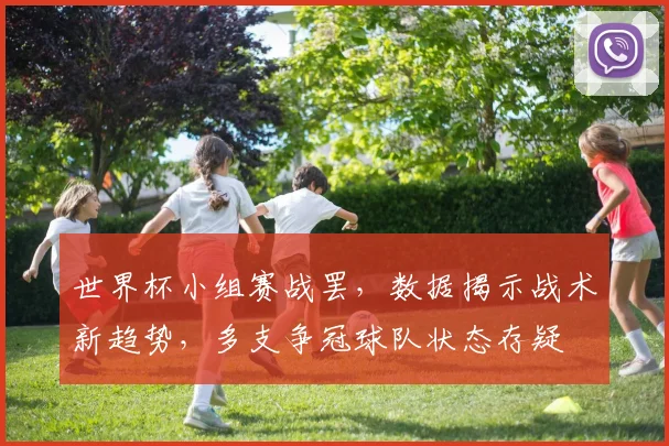 世界杯小组赛战罢,数据揭示战术新趋势,多支争冠球队状态存疑